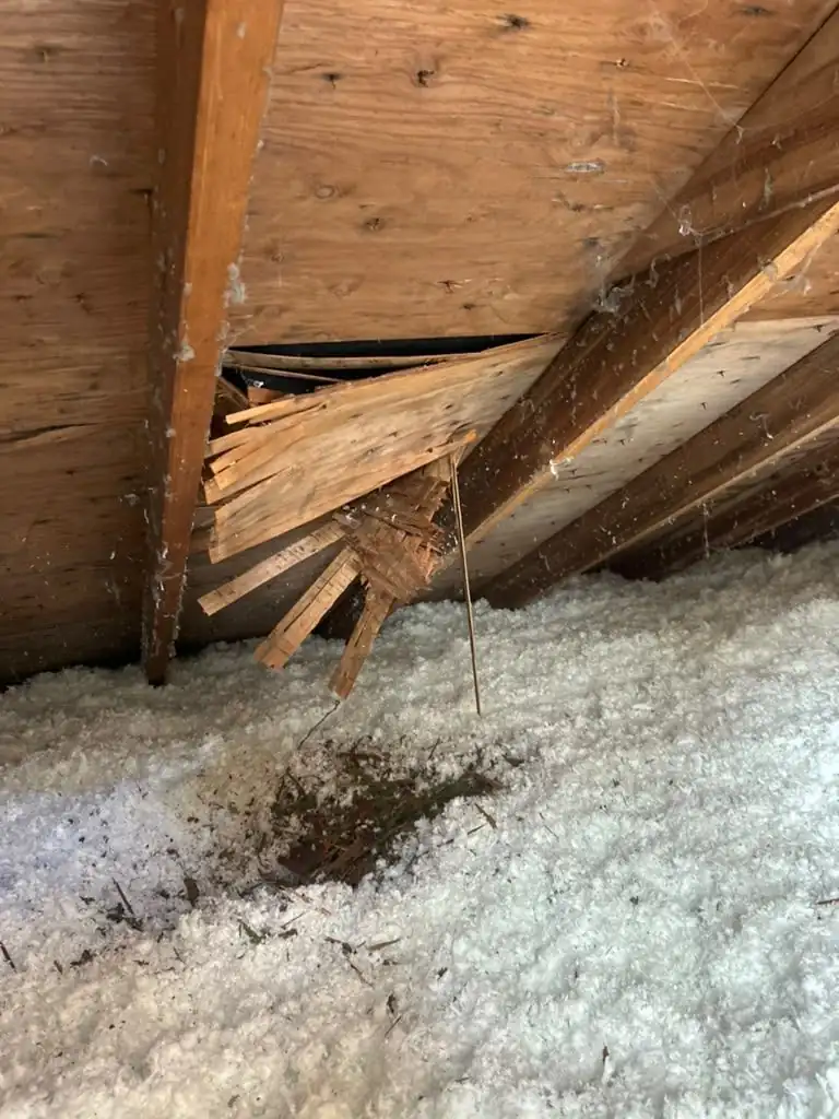 Free inspection