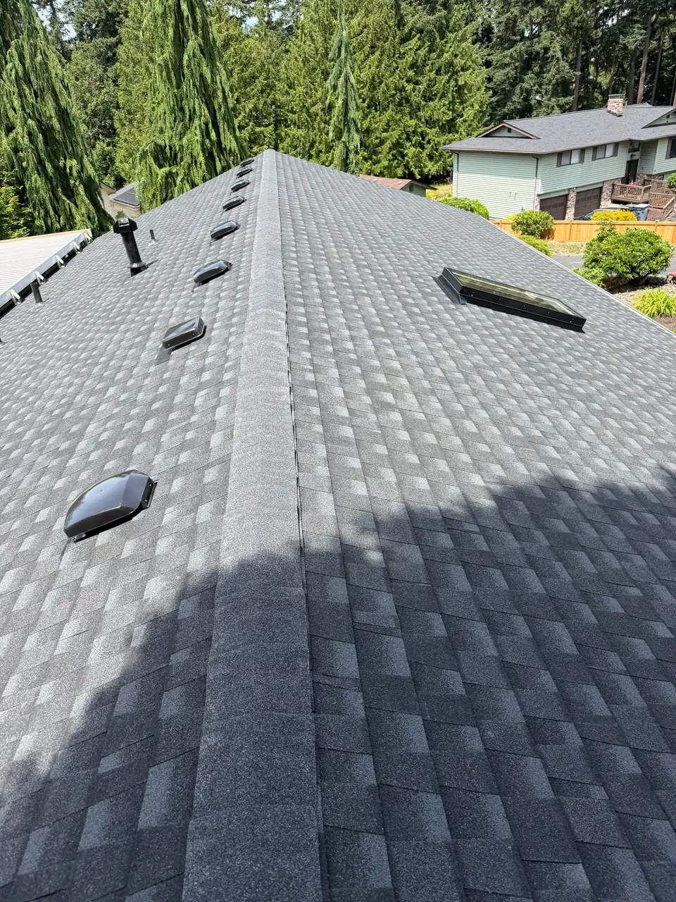 Ridge & attic vents