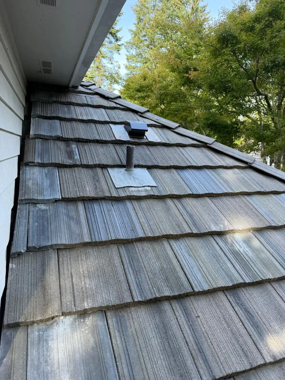 Concrete & clay tile